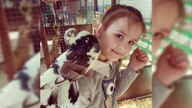 Минск. Контактный зоопарк. Страна енотия. смотреть онлайн