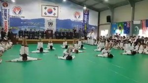 THE KOREA HAPKIDO FEDERATION DEMO TEAM 2017