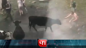 «ЧП»: 18 мая 2022 года | «Чрезвычайное происшествие» на НТВ