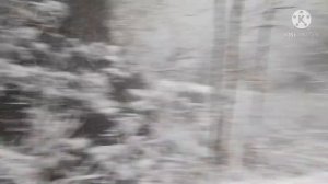 Гуамское ущелье, база отдыха "Водолей". Апшеронский район