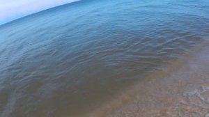 Ловля лососевых / Рыбалка в Балтийском море / весна 2018