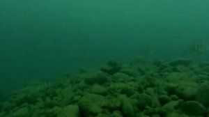 Река Абакан зимой