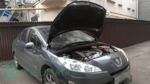 Амортизаторы (упоры) капота Peugeot 408 (арт. KU-PG-4080-00) от upory.ru