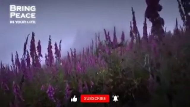 Очень красивая чтения Корана. Сура Ясин смотреть онлайн