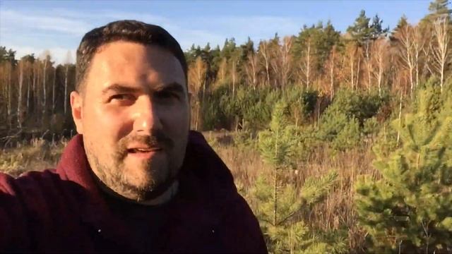 Где искать рыжики и маслята?! смотреть онлайн