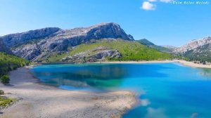 Soothing Music For The Heart🌿Relaxing Melodies Helps Reduce Stress, Anxiety🌿Dispel Toxins With Musi