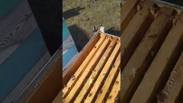 Рогатый 8 рамочный улей. Улей Паливоды. Улей для кочевки. смотреть онлайн
