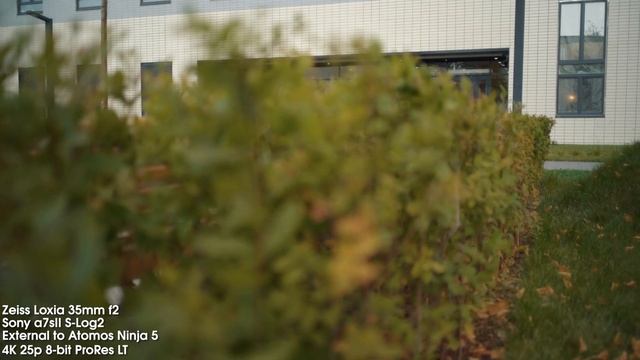 Обзор объектива Zeiss Loxia 35mm f2 для Sony E-Mount смотреть онлайн