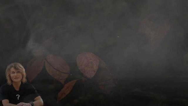 О северной традиции. Школа Меньшиковой