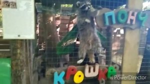 ▪️КОНТАКТНЫЙ ЗООПАРК "БЕРЕНДЕЕВО" в Ставрополе▪️РЕАЛЬНЫЙ ОТЗЫВ▪️16.05.18▪️МЫ ВОРОНКОВЫ▪️