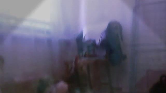 Петушки и курочки танцуют смотреть онлайн