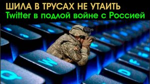 Сенсация! Раскрыта схема участия Twitter в войне против России!