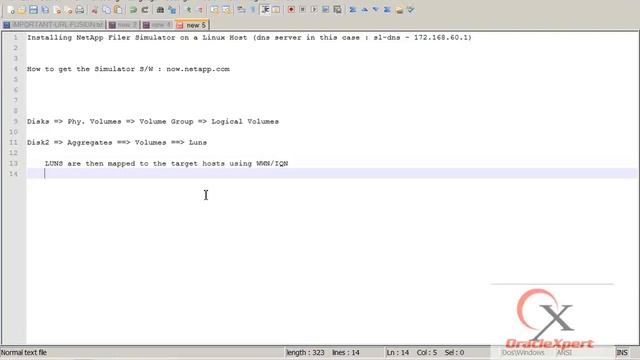 Netapp Filer Simulator Install Configure SAN Mode for RAC смотреть онлайн