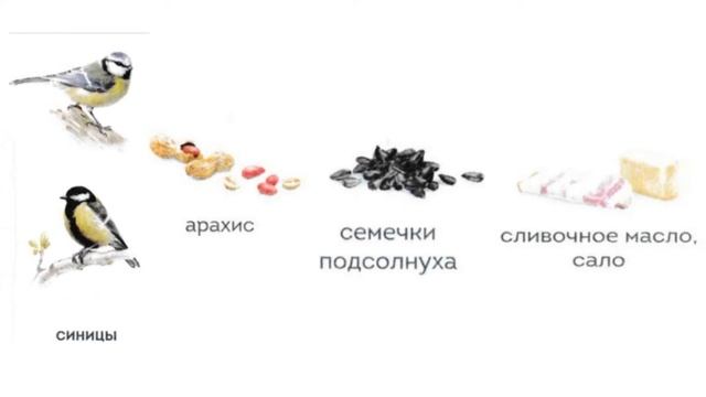 Как зимой помочь птицам смотреть онлайн