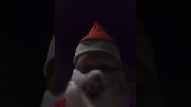 Дед Мороз заблудился в Лапландии