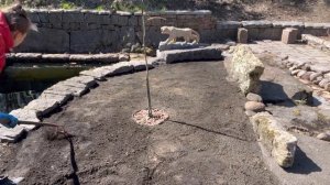 Как правильно вырастить газон. Сеем своими руками.