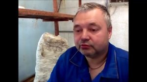 #Вешенки. Маленькая шляпка, толстая ножка вешенки