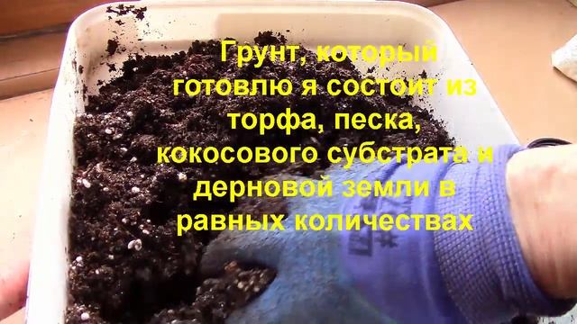 Рассада и грунт. Как приготовить грунт? смотреть онлайн