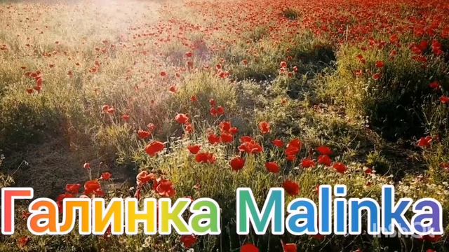 Мы родились в Сибири /Кто и кому наставил рога? /Обзор Влогов /Мы родились в Сибири life /