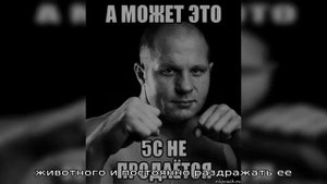 Что делать, если хомяк чихает и пищит?