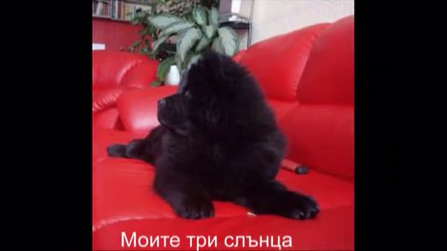 Моите три слънца смотреть онлайн