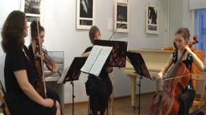 Loituma - Ievan Polkka - Mandarin-quartet