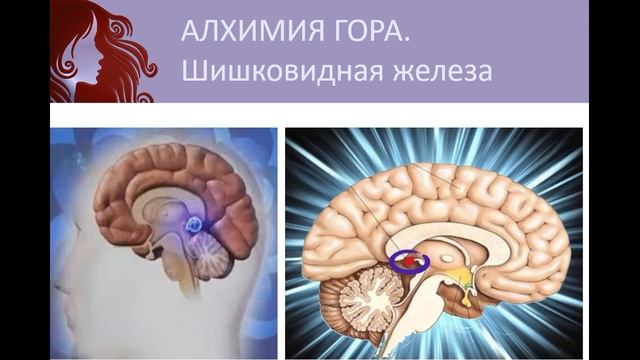УНИКАЛЬНАЯ ПРАКТИКА!! Активация Шишковидной Железы Световыми целителями в прямом эфире и не только!