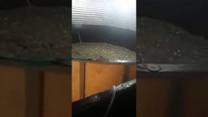 УЗВ.Привезли биозагрузку.