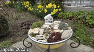 Подснежники и новый декор в саду. 27.02.2023 г. Пятигорск, Ставропольский край.