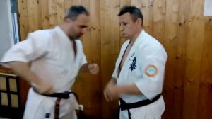 Knife techniques / military system / Igor Zorin