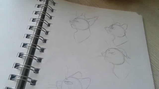Обзор на скетчбук (Кв-художник), часть 2. смотреть онлайн