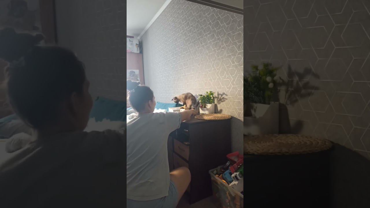 фотосессия осьминога #вязаныеигрушки #амигуруми #мккрючком #хобби #вязание #вязаниекрючком #diy смотреть онлайн