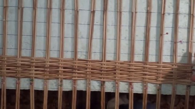 Квадратное или прямоугольное донышко из газетных трубочек. смотреть онлайн