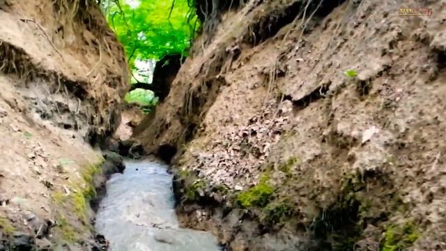 ПРИРОДА ОРЛА ? | QARTAL TEBIETI ???️? | THE NATURE OF THE EAGLE ????️?