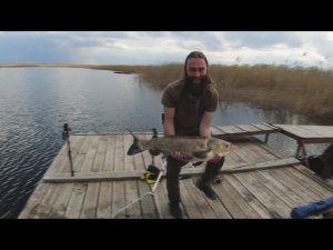 ТЕЗИСЫ МОИХ РЫБАЛОК  ТОЛСТОЛОБЫ ДЕСЯТКИ, ЩУКИ ВОСЬМЕРКИ И НЕ ТОЛЬКО