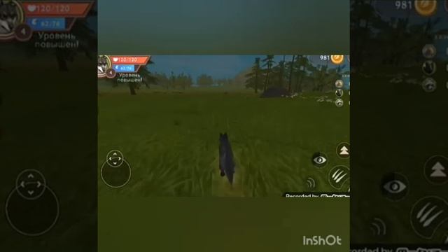 Забыла пароль/ wild craft/начинаем заново, с нуля/симулятор волка смотреть онлайн