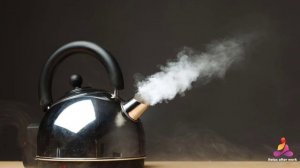Звук свист чайника | Kettle whistle sound ?