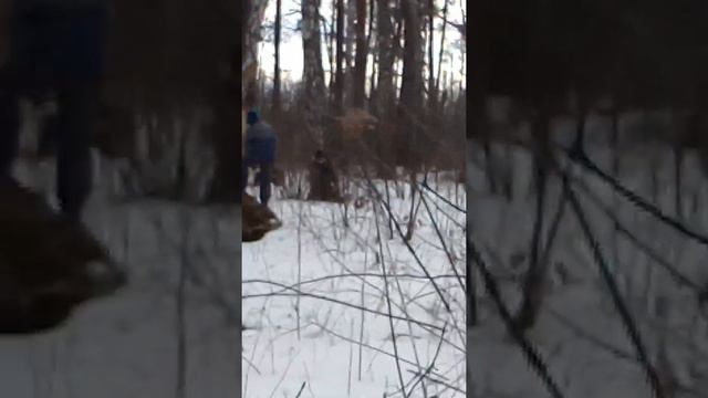 Куница в конце сезона!!!!! смотреть онлайн