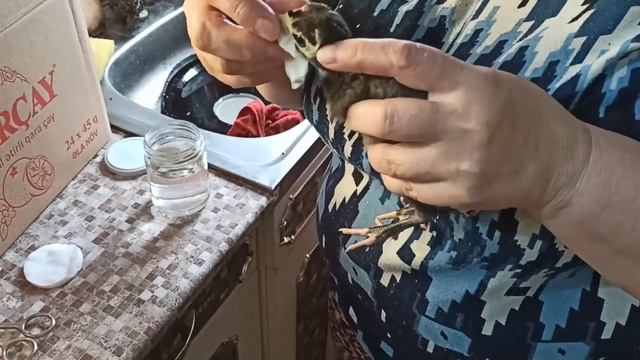 Переезд под Краснодар. Рынок в Новотитаровской. Удивляемся тому, что сделали сами.
