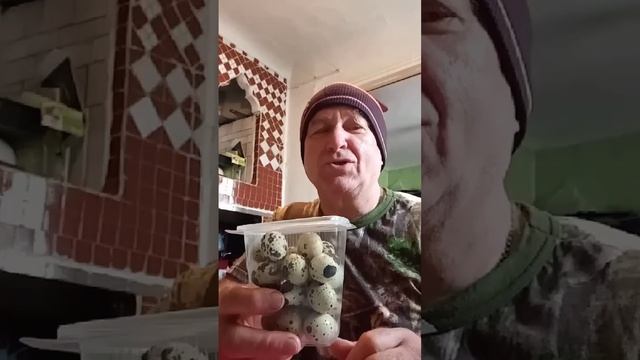 На обзор яйца перепелиные с базара смотреть онлайн