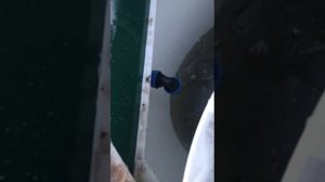 установка септика Аквалос 5пр 8-999-847-82-95