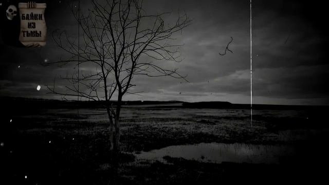 Деревенские истории (4в1)