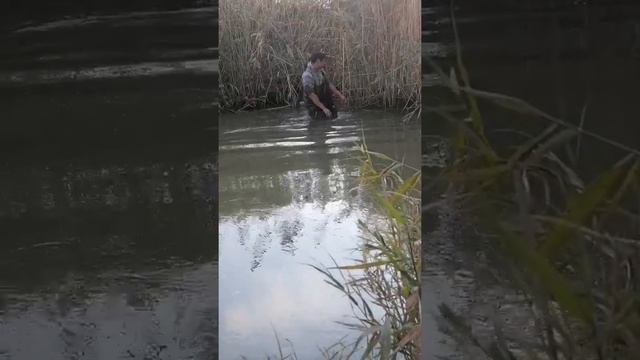 Рыбалка осенняя. Ловим рыбу руками. смотреть онлайн