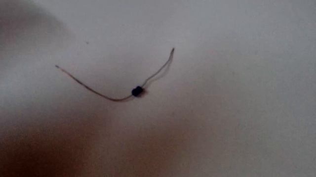 Как сделать сережки кукле мастер класс смотреть онлайн