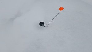 Первый лёд на лесном пруду!