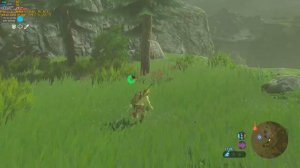 LEGEND OF ZELDA BREATH OF THE WILD - CEMU 1.16.0 | VULKAN | RX470 I3-8100 | GAMEPLAY | 1080P