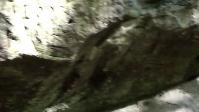 Как подделывают историю или поездка в Горячий ключ смотреть онлайн