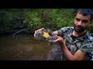 4 дня на золотом ручье. 4 days at the Golden Creek