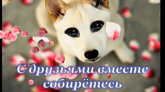 КРАСИВОЕ ПОЗДРАВЛЕНИЕ С ДНЁМ ТАТЬЯНЫ ТАТЬЯНИН ДЕНЬ ПОЗДРАВЛЕНИЯ смотреть онлайн