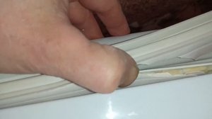 Замена_уплотнителя_на_холодильнике_Indesit.mp4